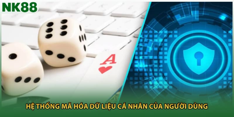 Hệ thống mã hóa dữ liệu cá nhân của người dùng